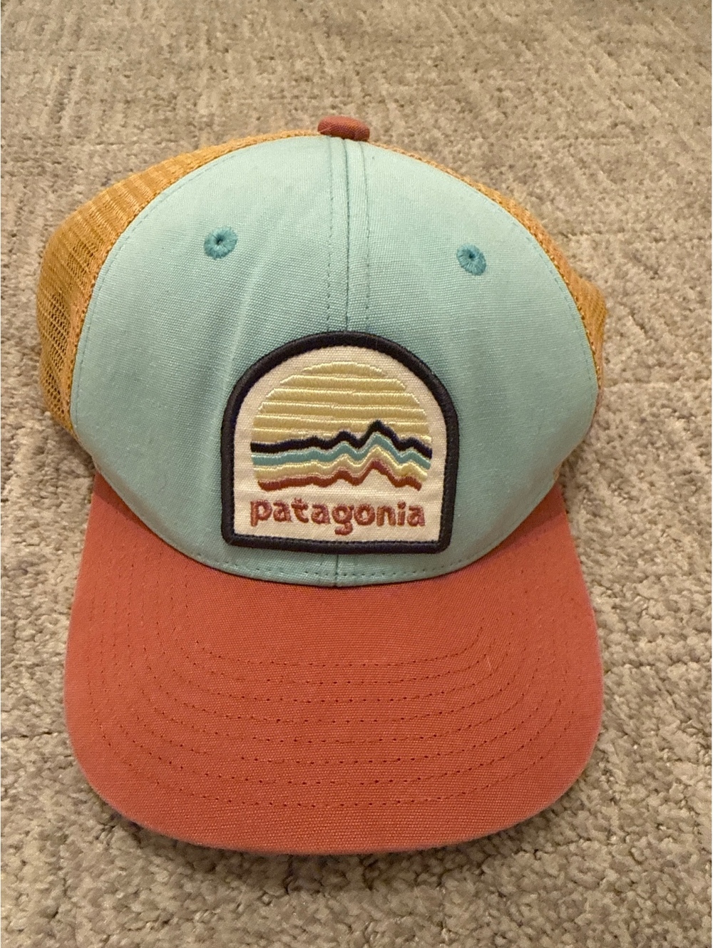 Patagonia Trucker Hat with Colorful Logo Patch